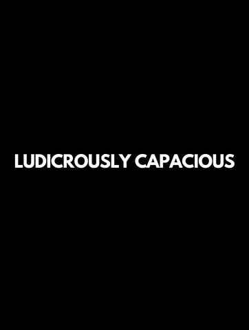 ludicrously capacious - hoodie